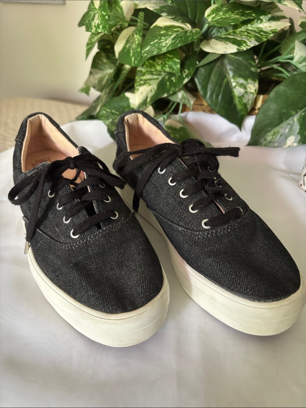 Keds Black Denim Sneakers